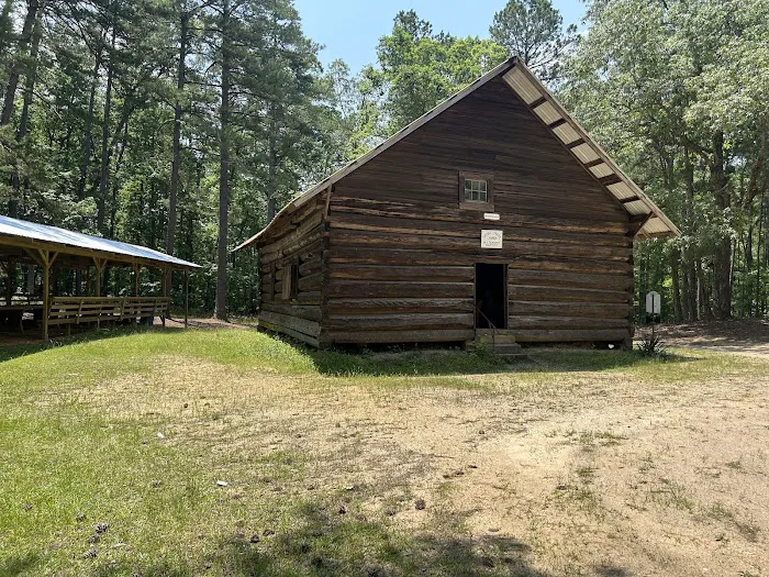 Coleman Lake Campground and Picnic Area Picture 7