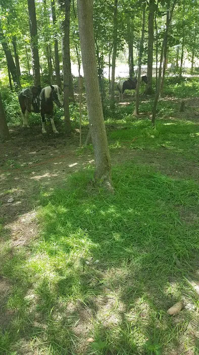 Warden Station Horse Camp Picture 2