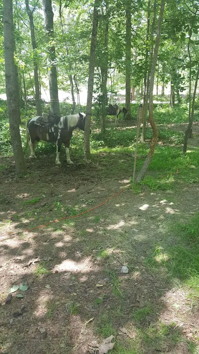 Warden Station Horse Camp Picture 3
