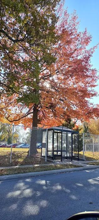SPRINGFIELD MISSOURI TINY HOMES Picture 6