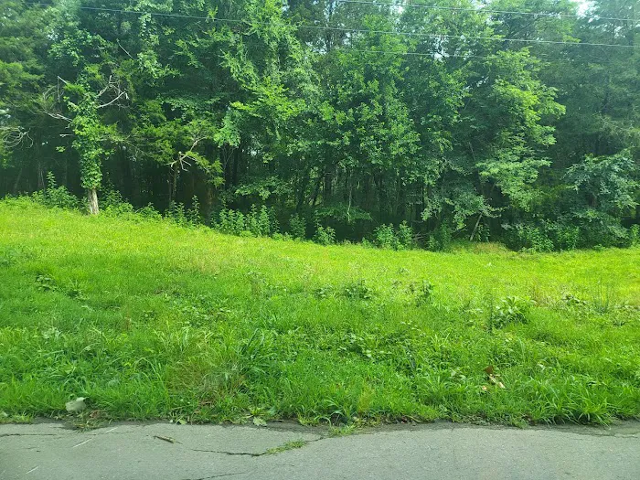 Henry Horton State Park RV Campground Picture 6
