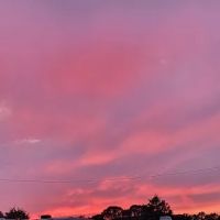 Fordland RV Park ico