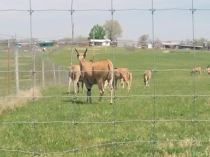 God's Country RV Park Picture 1