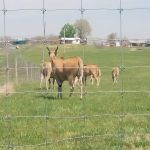 God's Country RV Park