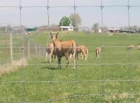 God's Country RV Park