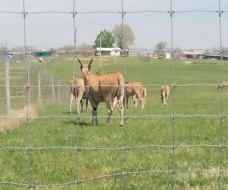 God's Country RV Park