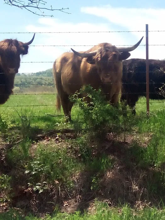 God's Country RV Park Picture 10