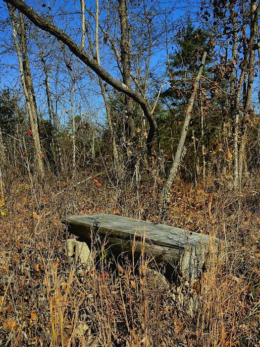 River Myst RV Picture 10