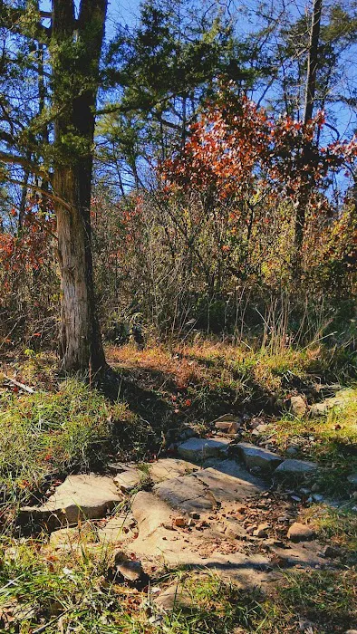 River Myst RV Picture 9