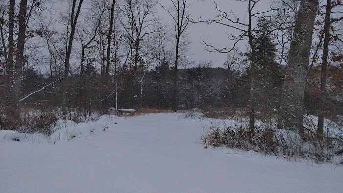 River Myst RV Picture 3