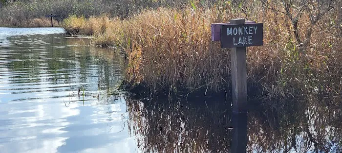 Monkey Lake Canoe Shelter Picture 4