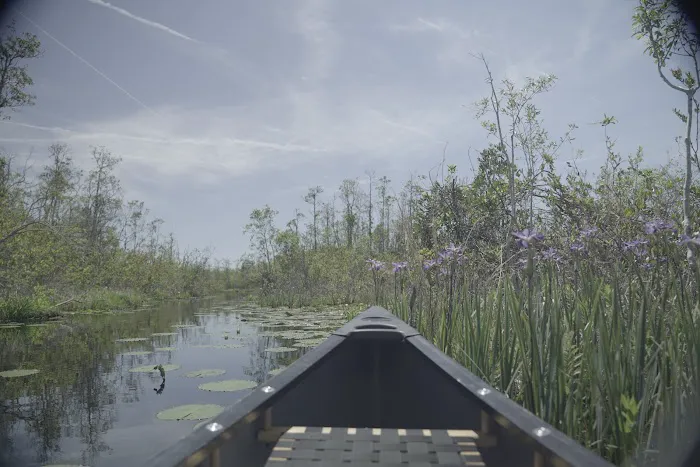 Monkey Lake Canoe Shelter Picture 10