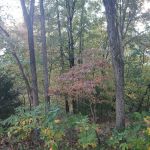 Peddlers RV Park
