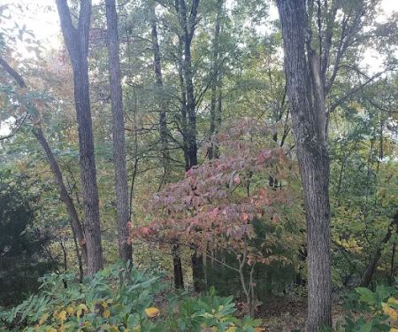 Peddlers RV Park