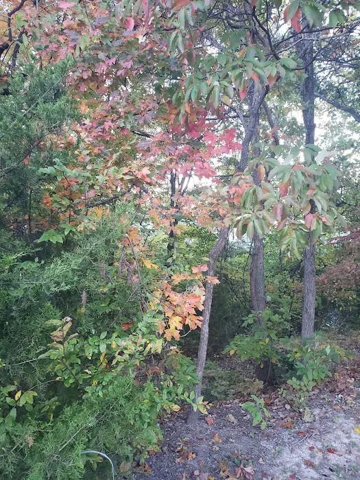 Peddlers RV Park Picture 4