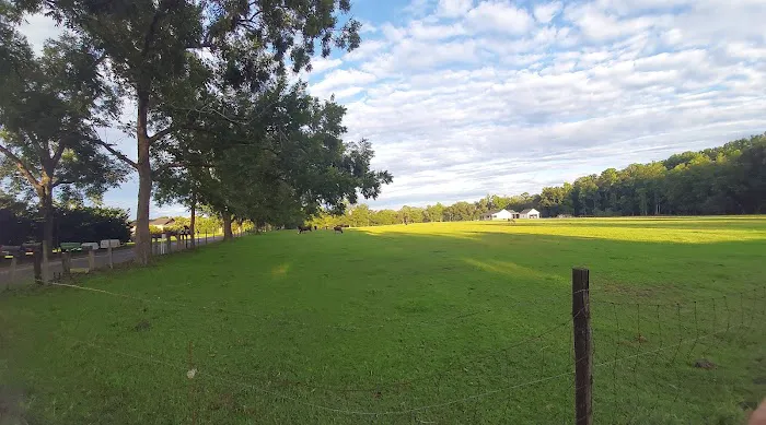 Shady Grove RV Park Picture 3