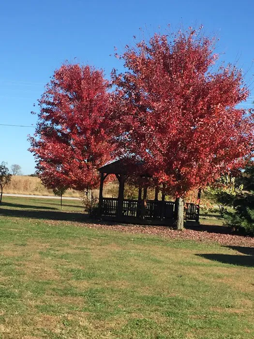 J's RV Park Picture 7