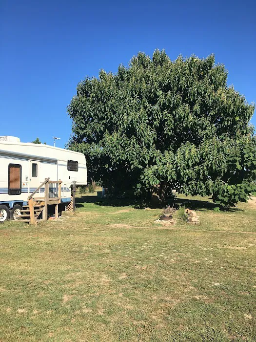 J's RV Park Picture 3