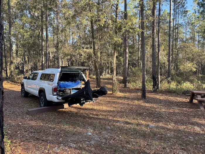 Catface Corner Campground (Florida Forest Service) Picture 3