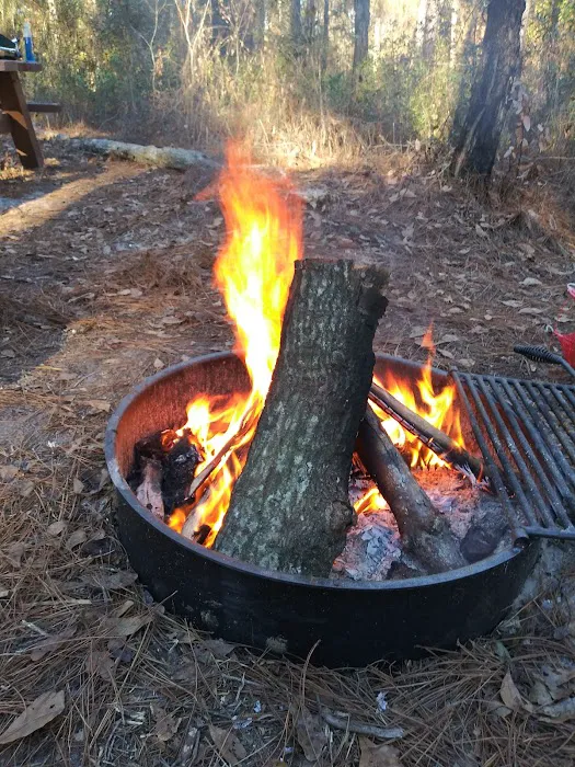 Catface Corner Campground (Florida Forest Service) Picture 4