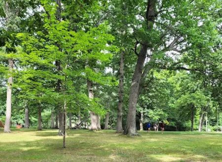 Scottish Rite Rec Area