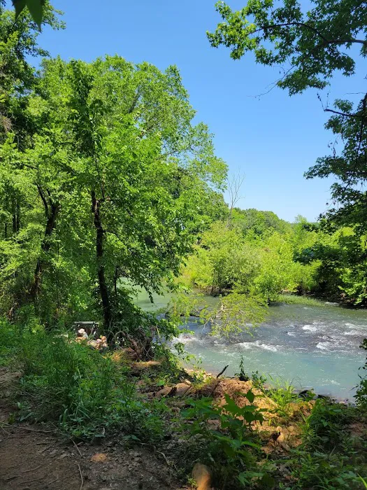 Mulberry River Outdoor Adventures Picture 1