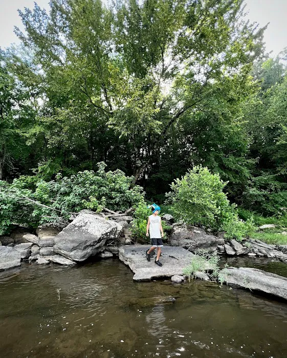 Mulberry River Outdoor Adventures Picture 9