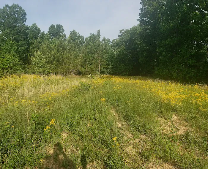 Whispering Oaks Retreat and Campground Picture 4