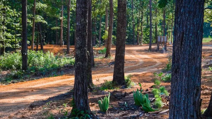 Swiss Haven RV Campground Picture 6