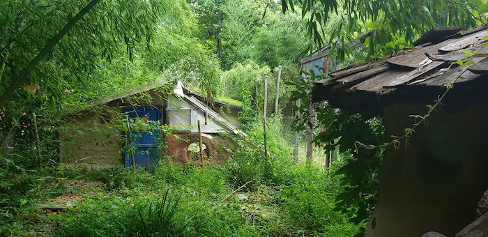 Hoot Owl Hollow on The Farm Picture 9