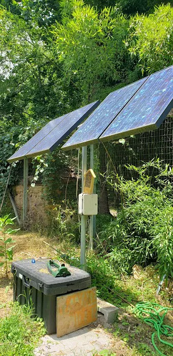 Hoot Owl Hollow on The Farm Picture 10
