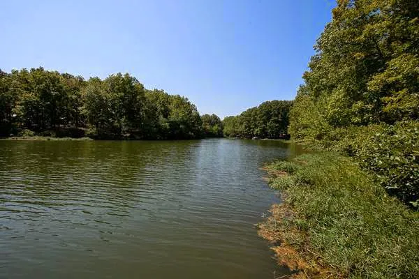 Thousand Trails Natchez Trace Picture 7