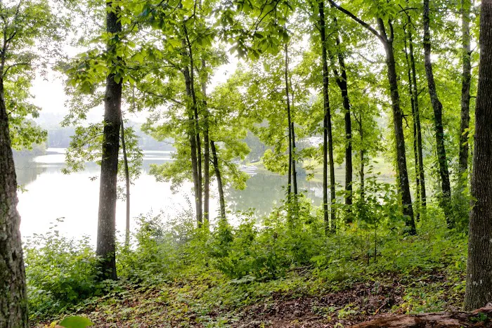 Thousand Trails Natchez Trace Picture 10