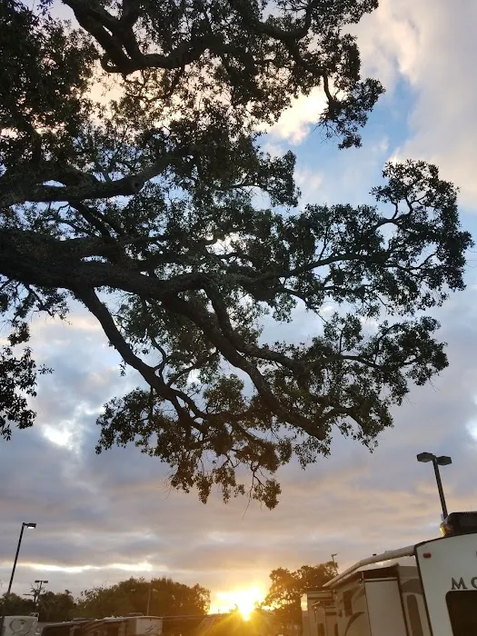 Boomtown Biloxi RV Park Picture 8