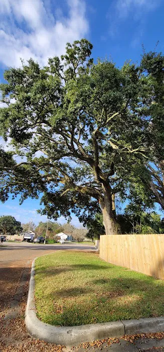 Boomtown Biloxi RV Park Picture 4