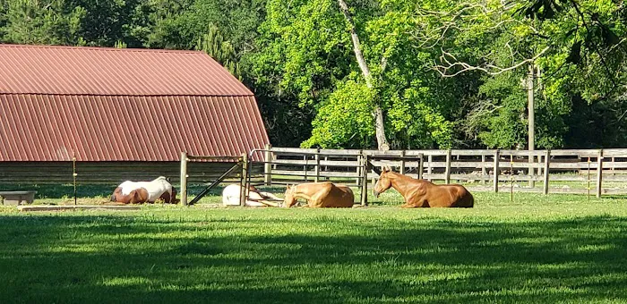 Green Woods Stables RV Park Picture 7