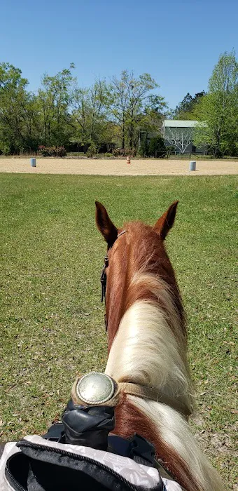 Green Woods Stables RV Park Picture 8