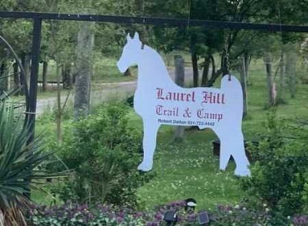 Laurel Hill Trail and Camp