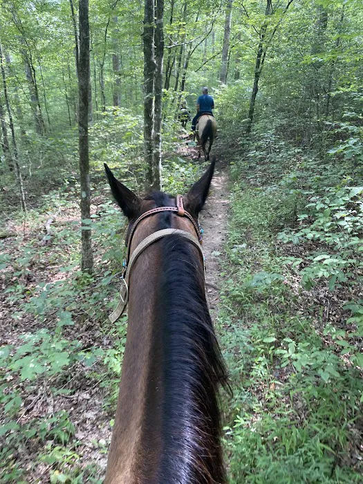 Laurel Hill Trail and Camp Picture 9