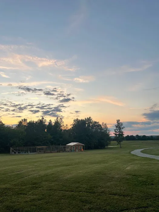 Seven Pines River Resort Picture 7