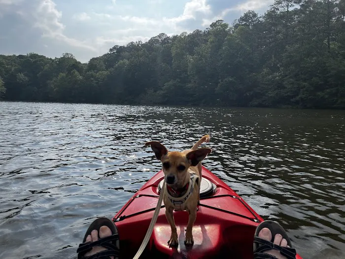Natchez Trace State Park Campground 1 Picture 8