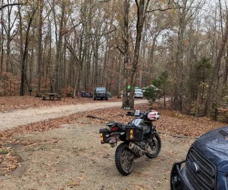 Natchez Trace State Park Campground 1