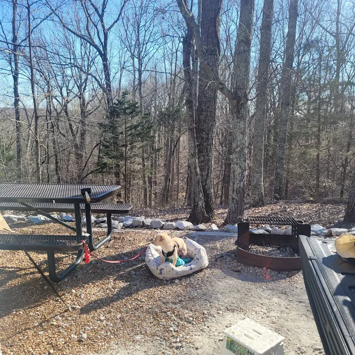 Mousetail Campground Picture 2