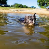 Mousetail Landing State Park Spring Creek Campground ico