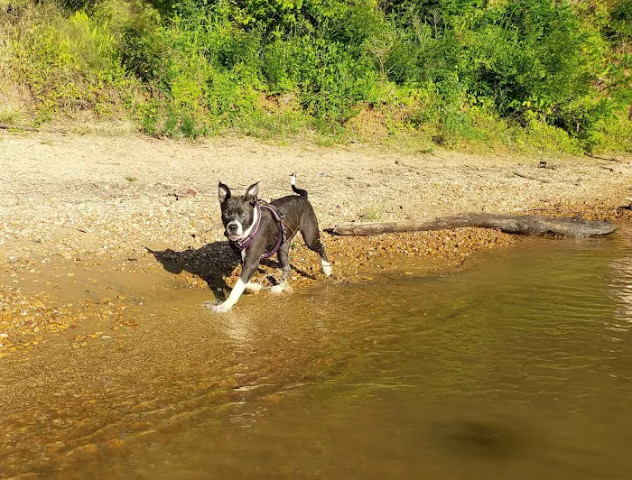 Mousetail Landing State Park Spring Creek Campground Picture 4
