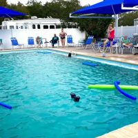 Caladesi RV Park & Propane ico