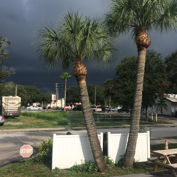 Caladesi RV Park & Propane Picture 7