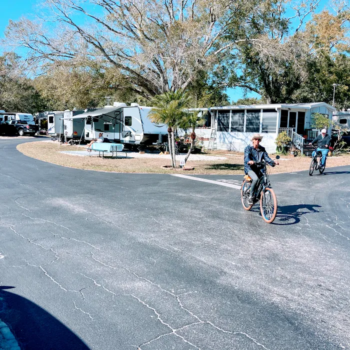 Caladesi RV Park & Propane Picture 10