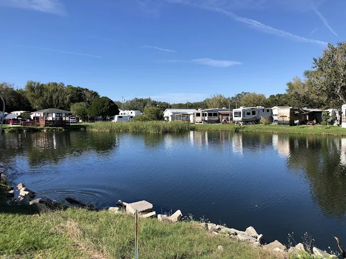 Sherwood Forest RV Resort Picture 8