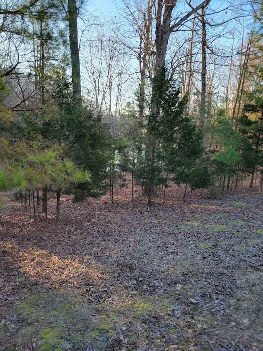Natchez trace state park campground Picture 3